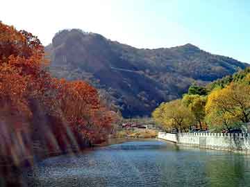 尼龙板规格，天涯情感